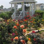 Cavener-2021 Featured