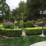 Lana & David Chang - 2018 Garden Tour Lana & David Chang - 2018 Garden Tour