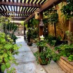 Daniels 2020 Featured Image