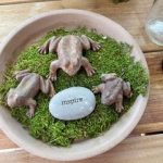 Garden #5's amphibian friends with a message