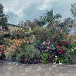 Imee & Hily Barragan 2023