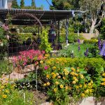 Crisynda & Steve 2023