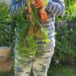 Crisynda & Steve 2023