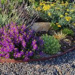 Crisynda & Steve 2023