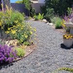 Crisynda & Steve 2023