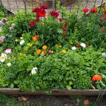 Crisynda & Steve 2023