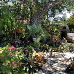 Jen & frank DeLeo 2023