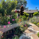 Jen & frank DeLeo 2023