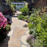 Jen & frank DeLeo 2023