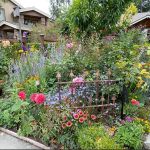 Jen & frank DeLeo 2023