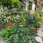 Jen & frank DeLeo 2023