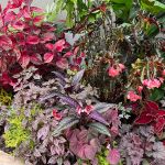 Jen & frank DeLeo 2023