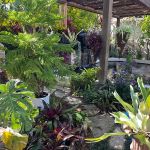 Jen & frank DeLeo 2023