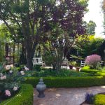 Kathy & Ron Ferree 2023