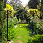 Kathy & Ron Ferree 2023