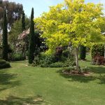 Kathy & Ron Ferree 2023