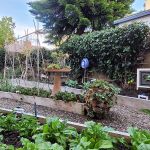 Todd & Laura Lockwood 2023