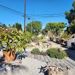 Atti & Larry Reding 2023