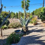 Atti & Larry Reding 2023