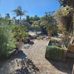 Atti & Larry Reding 2023