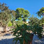 Atti & Larry Reding 2023