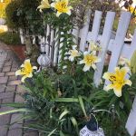 Randy & Tracy Simons 2023