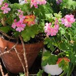 Randy & Tracy Simons 2023