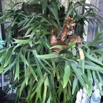 Shellie Ver Meer 2023