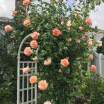 Shellie Ver Meer 2023