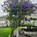 Shellie Ver Meer 2023