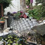 Shellie Ver Meer 2023