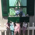 Shellie Ver Meer 2023