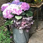 Shellie Ver Meer 2023