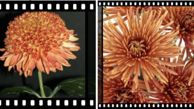 Screenshot 2025-11-18 at 3.24.17 PM